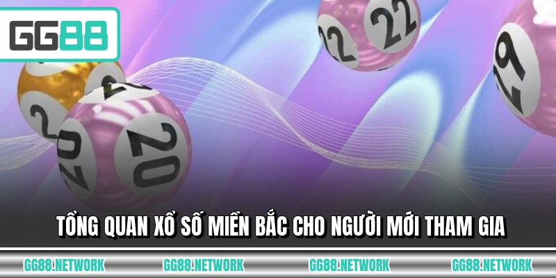 Tổng quan xổ số miền Bắc cho người mới tham gia